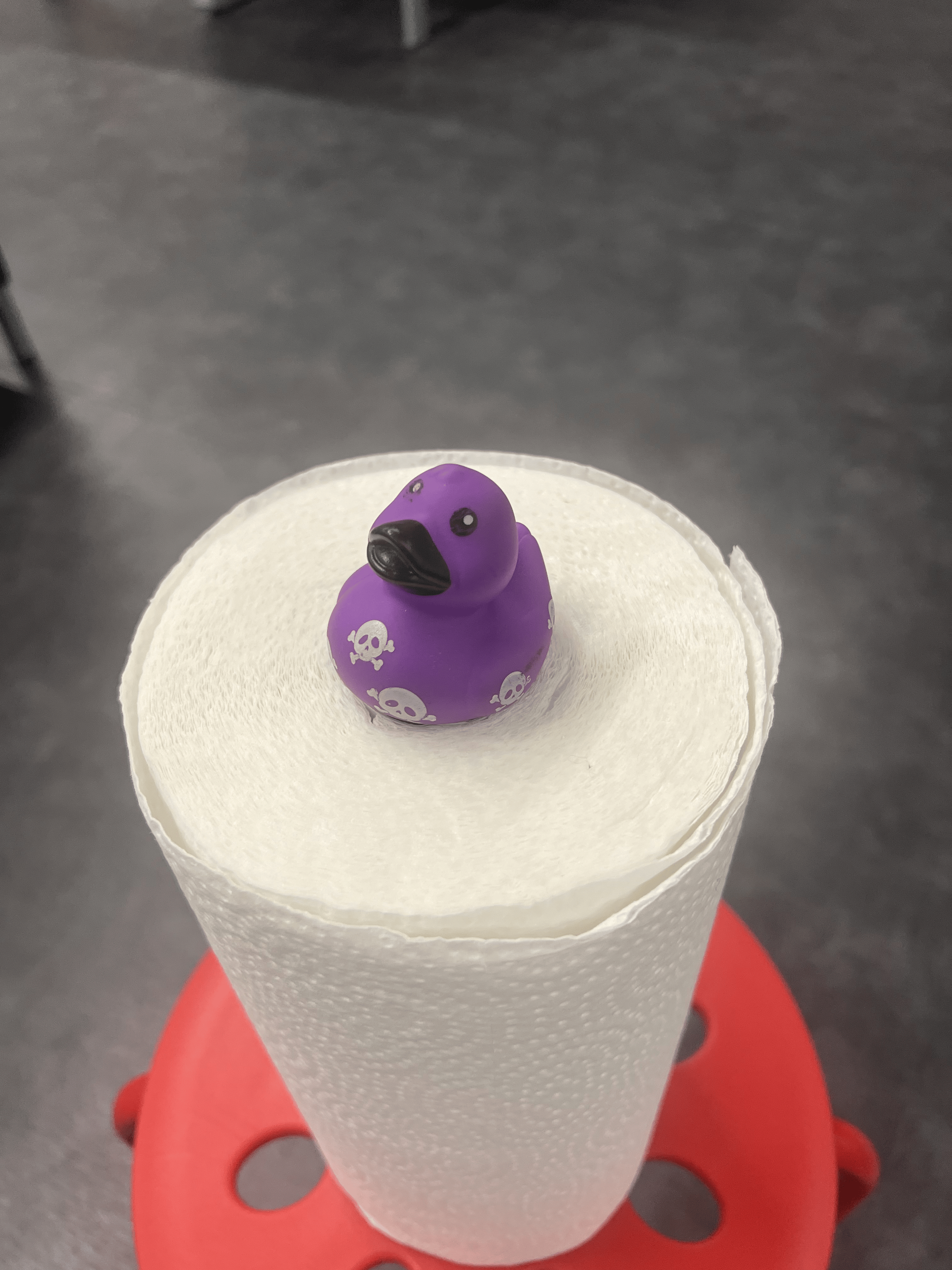 Activity 2 Scaniverse and Cinema 4D proccess work